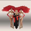 Cliquez pour agrandir SPECTACLE DE CABARET