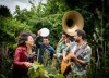 MARACUJA ! Jazz Do Brasil